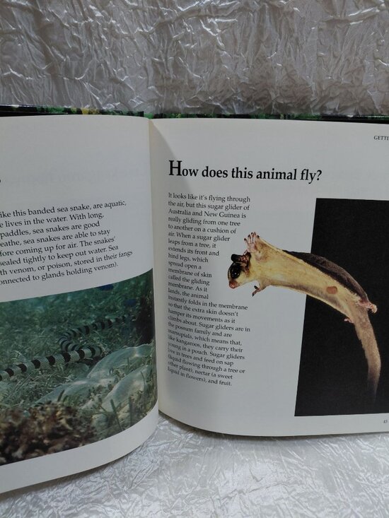 Amazing Animals Question &Answer Hardcover Book Wishing Well 1993 Wildlife Facts - Picture 3 of 8